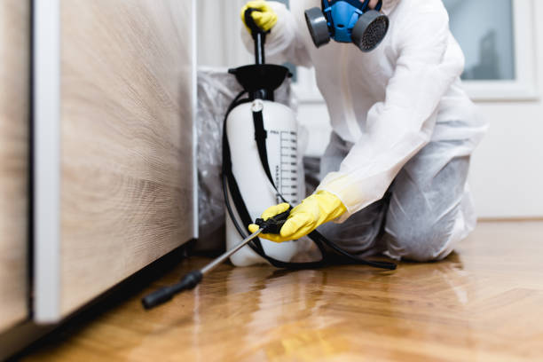 Best Emergency Pest Control  in Estacada, OR