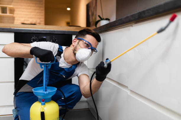 Best Cockroach Control Services  in Estacada, OR