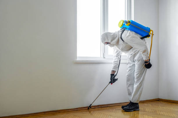 Best Residential Pest Control  in Estacada, OR