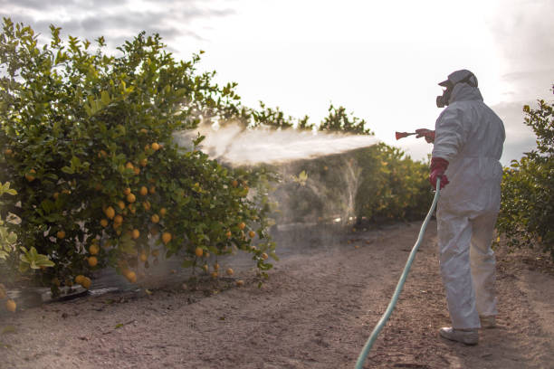 Best Mosquito Control Services  in Estacada, OR