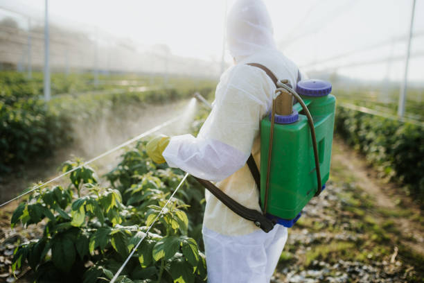 Best Pest Inspection Near Me  in Estacada, OR